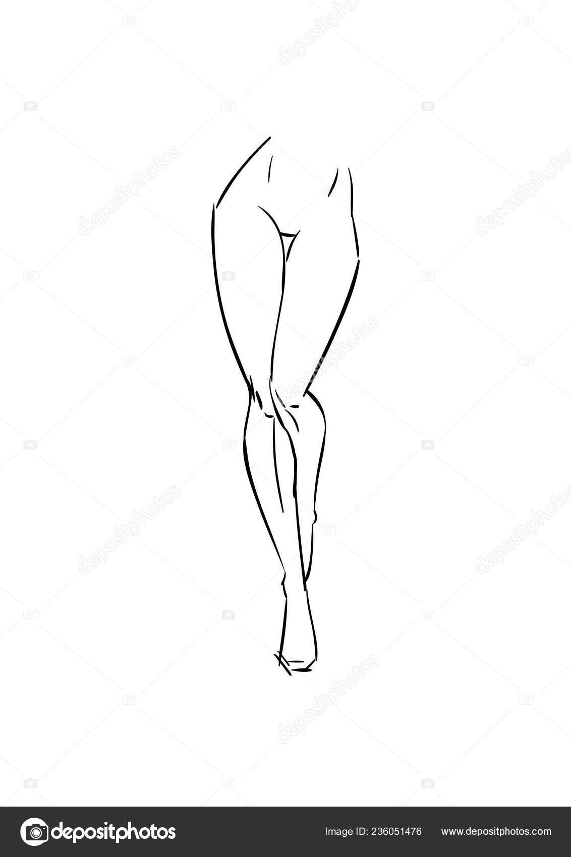 Female Legs Hips Drawn Black Lines Sketch Lower Body Sexy Stock Vector C Kseniyart 236051476