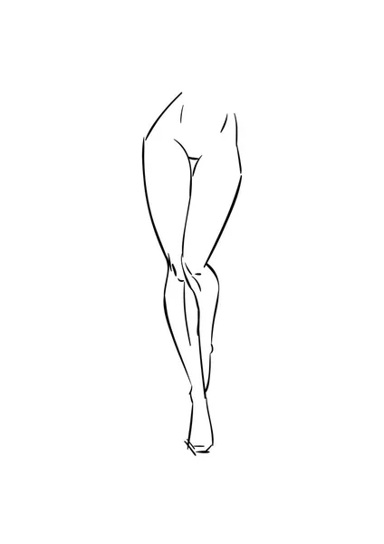 Weibliche Beine Hüften Schwarzen Linien Gezeichnet Skizzieren Sie Den Unterkörper — Stockvektor