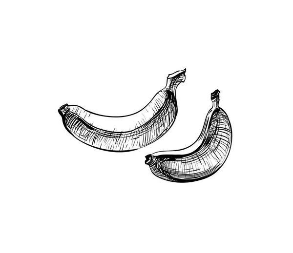 Banány Logo Ruky Nakreslené Tahy Čáry Skici Eco Ikony Designu — Stockový vektor