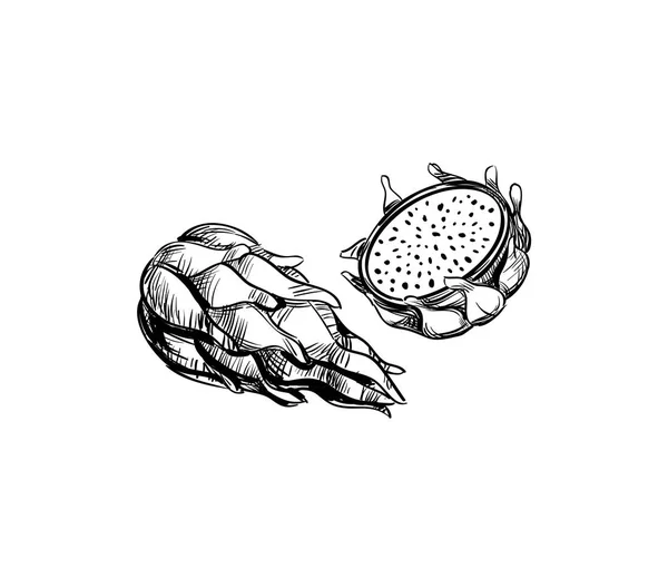 Dračí Ovoce Logo Ruky Nakreslené Tahy Čáry Skici Eco Ikony — Stockový vektor