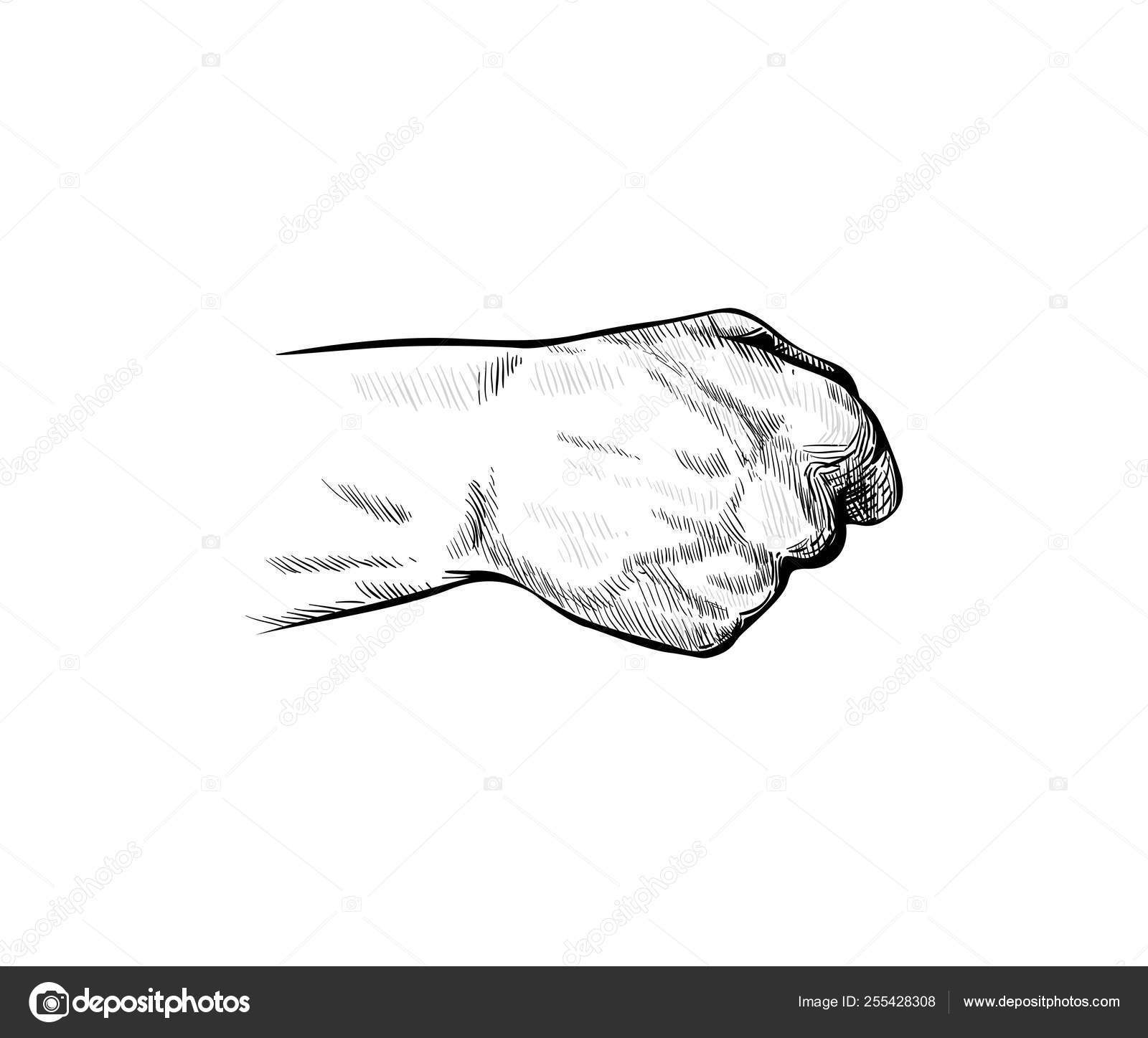 Aggregate more than 148 closed fist sketch in.eteachers
