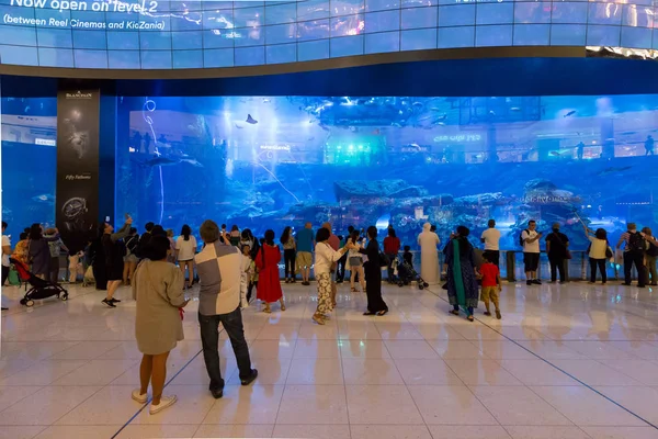 Acuario Dubai Mall — Foto de Stock