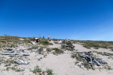 Kangerlussuaq, Grönland uçak kazasında
