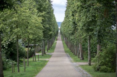 Fredensborg Palace, Danimarka ağaç sokak