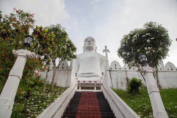 Bahirawakanda Vihara Boeddhabeeld in Kandy, Sri Lanka — Stockfoto