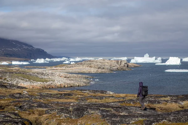 Молодая женщина смотрит на айсберги на острове Диско, Гренландия — стоковое фото