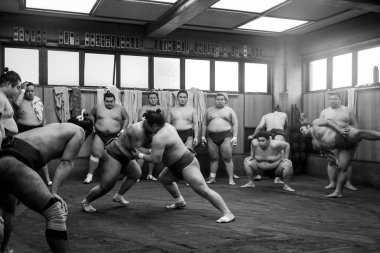 Sumo güreş eğitim: Tokyo, Japan