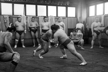 Sumo güreş eğitim: Tokyo, Japan