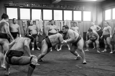 Sumo güreş eğitim: Tokyo, Japan
