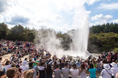Bayan knox Şofben Yeni Zelanda