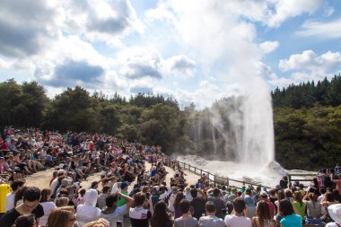 Bayan knox Şofben Yeni Zelanda