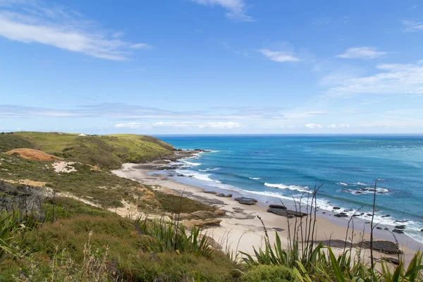 Beautiful wybrzeża w: Omapere, New Zealand — Zdjęcie stockowe