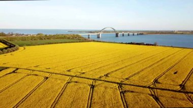 Fehmarn Köprüsü ve Kolza Alanı Havadan Görünümü