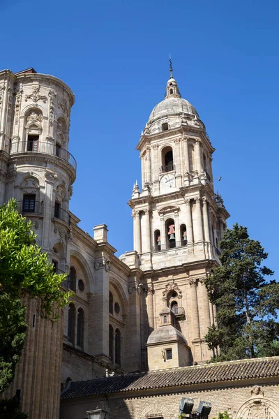 Malaga, İspanya 'daki Katedral