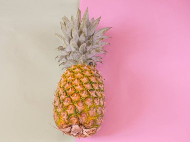 Ananas kopya alanı pembe ve yeşil zemin üzerine