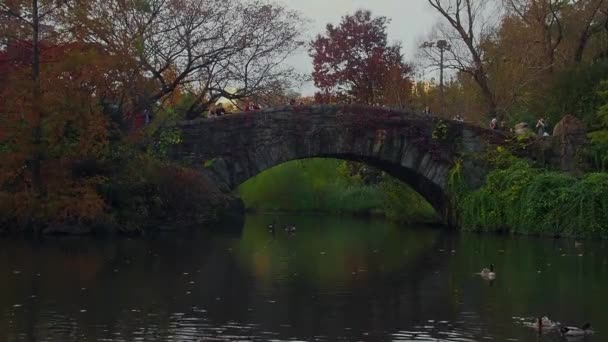 New York Verenigde Staten November 2018 Mensen Central Park — Stockvideo
