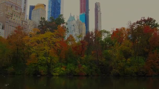 Teich Central Park New York — Stockvideo