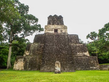 Guatemala Tikal Ulusal Parkı