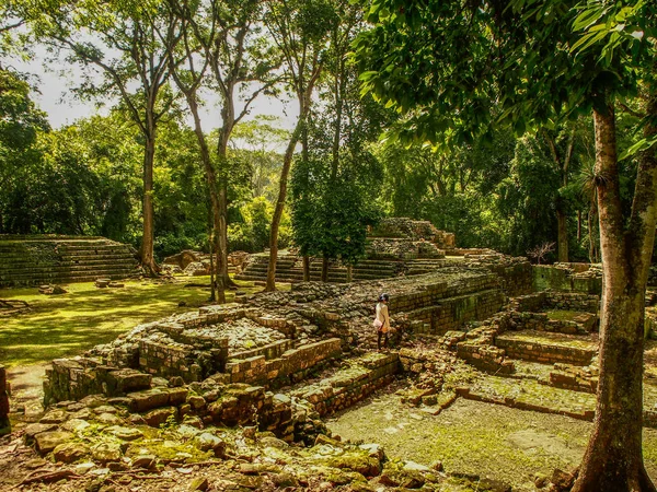 Sitio Arqueológico Copán Honduras — Foto de Stock