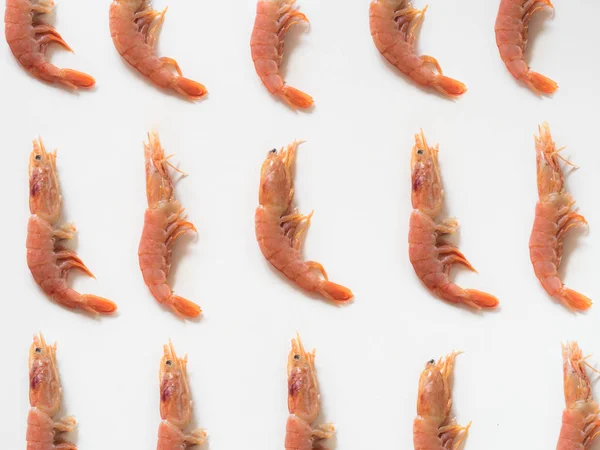 Prawn Pattern White Background — Stock Photo, Image