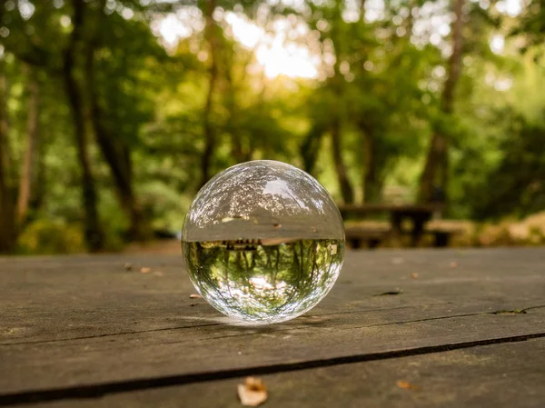 Odbicie lasu w szklanej kuli na drewnianym stole — Zdjęcie stockowe