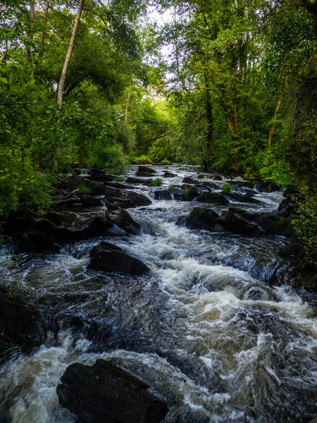 Coristanco 'da Refugio de Verdes - A Coruna (İspanya)