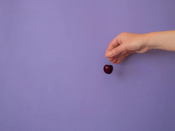 Hand met Cherry op paarse achtergrond met Kopieer ruimte — Stockfoto