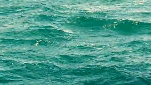 動いている海の波 — ストック動画