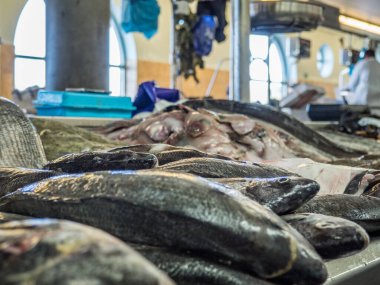 Pazarda satılacak balıklar