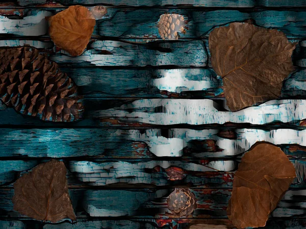コピースペースと青のグランジの木の背景に秋の背景 — ストック写真