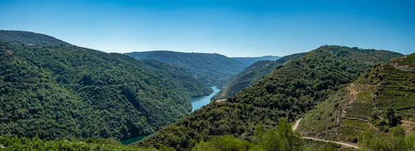 Ribeira Sacra Souto Chao Viewpoint — Stock Photo, Image