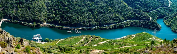 Panoramatický Výhled Duque Ribeira Sacra Lugo Galicie Španělsko Stock Snímky