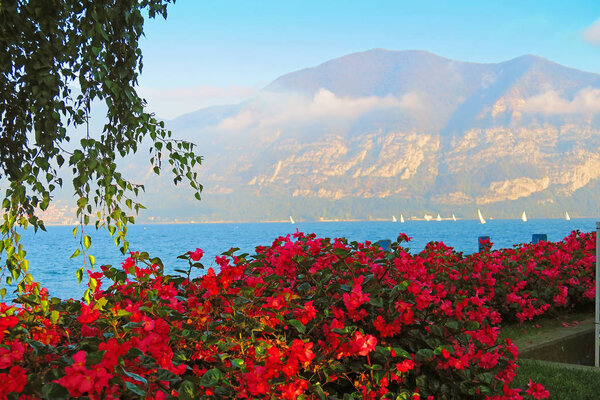 Red flowers adorn the Iseo lakefront.Iseo is a town in the province of Brescia, in Lombardy, Italy, on the south shore of Lake Iseo