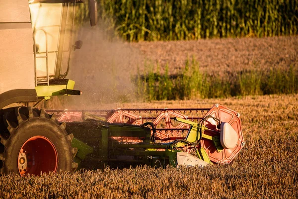 Harvester machine to harvest wheat field working. Combine harvester agriculture machine harvesting ripe wheat field.