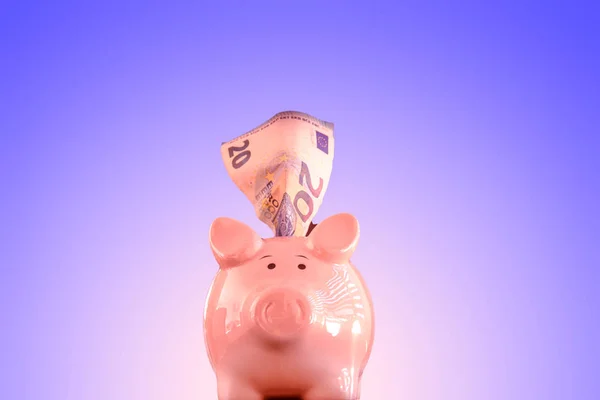 Piggy bank from the front on isolated blueish background. Copy space. Bill sticking out from the top