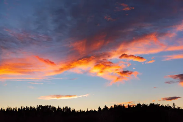 Sonnenuntergang Über Dem Wald Mit Dramatischem Himmel Und Bunten Wolken — Stockfoto