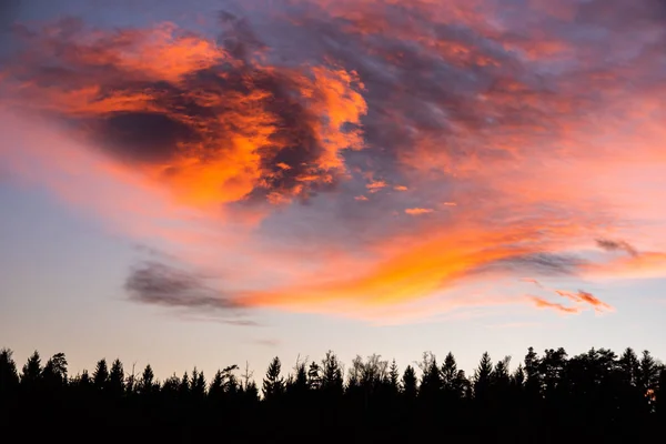 Sonnenuntergang Über Dem Wald Mit Dramatischem Himmel Und Bunten Wolken — Stockfoto