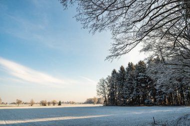 Kış manzara orman kırsal manzara. Frost alanlardaki