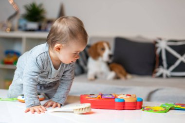 Evde Beagle köpeği olan bir bebek. Evde aile dostu köpek.