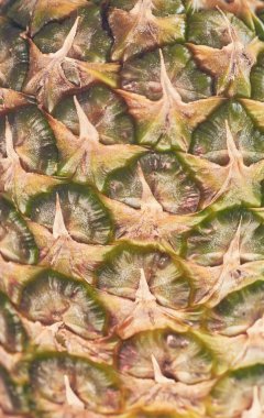 Ananas Meyve dokusu. Meyve cilt deseni.