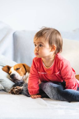 Bebek kanepede köpek ile birlikte rahatlatıcı.