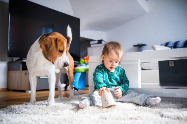 Oturma odasında halı üzerinde sevimli Kafkas bebek kız ile köpek.