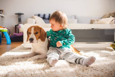 Bebek sarılma sıkı Beagle köpek içinde güneşli oda.