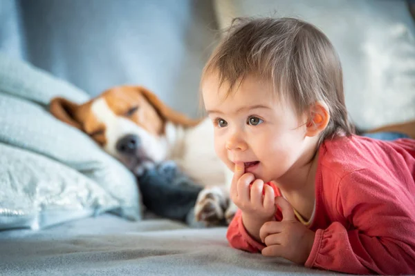 Baby with dog on sofa relaxing together.