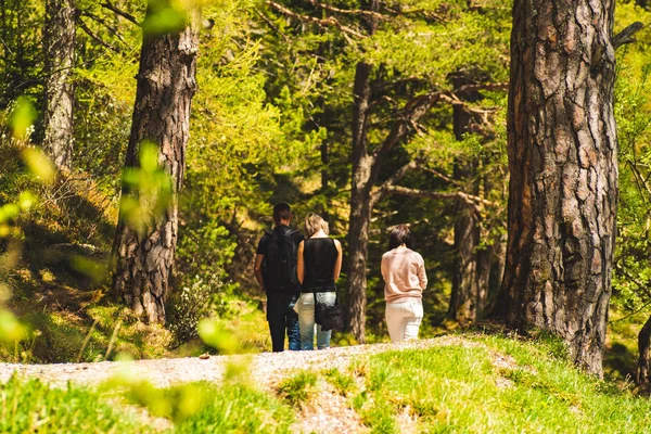 Three persons man and two woman’s walking through forest — Stock Photo, Image