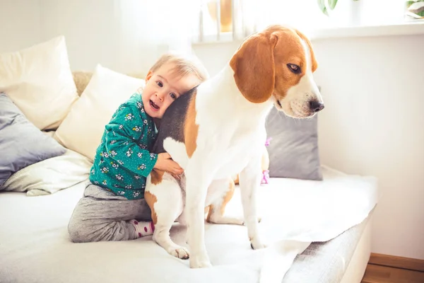 Bebis flicka kramar en beagle hund på en soffa i ett ljust vardags rum. — Stockfoto