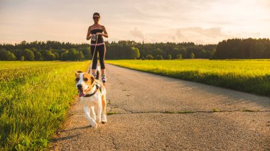 Doğada Beagle köpek açık havada kız pateni.