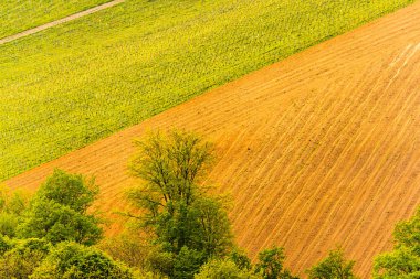 Avusturya Bağlar Sulztal şarap sokak alanı güney Styria , şarap ülke. Turizm