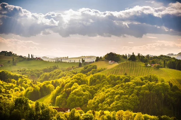 Colinas de uva vista da estrada do vinho na Áustria. Sul styria vinhedos paisagem. Sulztal — Fotografia de Stock