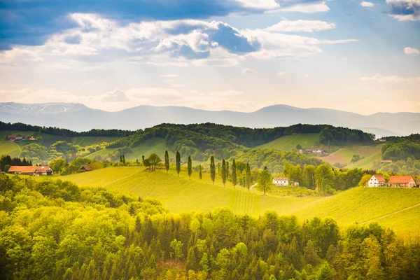 Vue sur les collines de raisin depuis la route des vins en Autriche. Styrie du Sud paysage vignoble. Sulztal — Photo